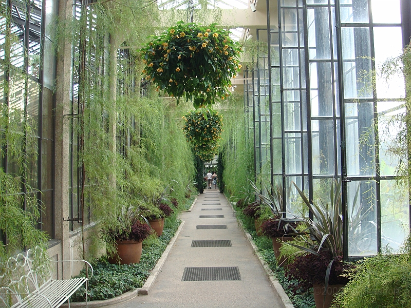 295 Longwood Gardens [2008 August 23].JPG - Longwood Gardens in Pennsylvania